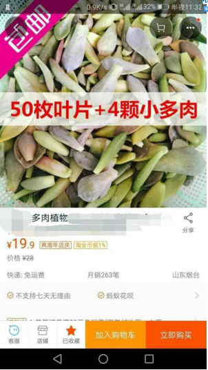 QQ截图20170411162653.png