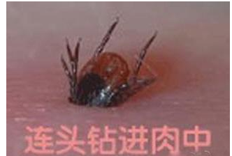 QQ截图20170415082135.png QQ截图20170415082135.png