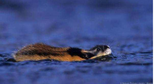 QQ截图20170415085728.png QQ截图20170415085728.png