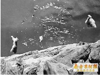 QQ截图20170415085735.png QQ截图20170415085735.png