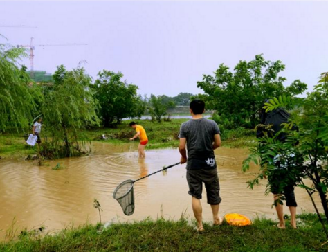 QQ截图20170415105613.png QQ截图20170415105613.png