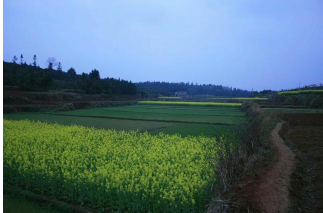 QQ截图20170417161519.png QQ截图20170417161519.png