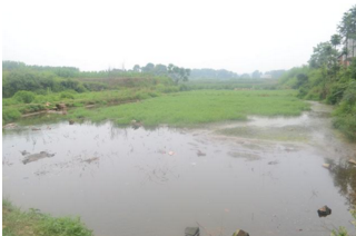 QQ截图20170417161525.png QQ截图20170417161525.png