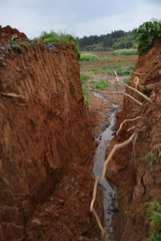 QQ截图20170417161607.png QQ截图20170417161607.png