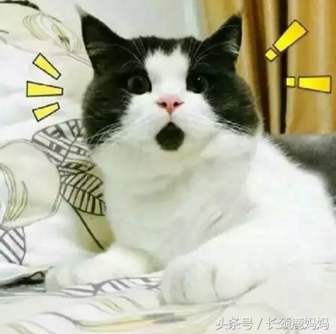 QQ截图20170418093244.png QQ截图20170418093244.png