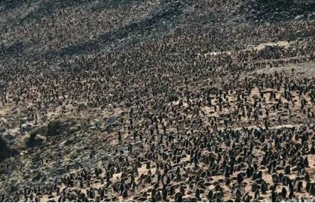 QQ截图20170419085439.png QQ截图20170419085439.png