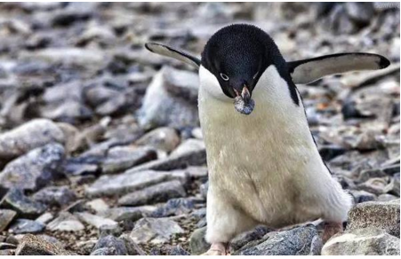 QQ截图20170419085444.png QQ截图20170419085444.png