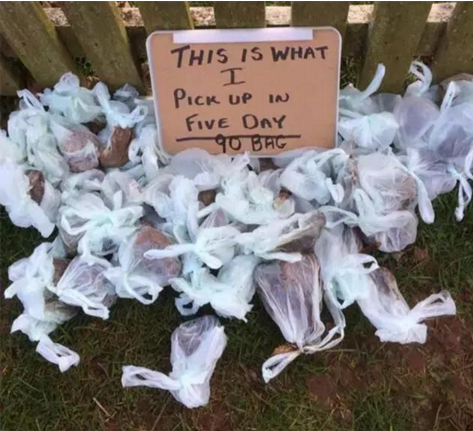 QQ截图20170419101745.png QQ截图20170419101745.png