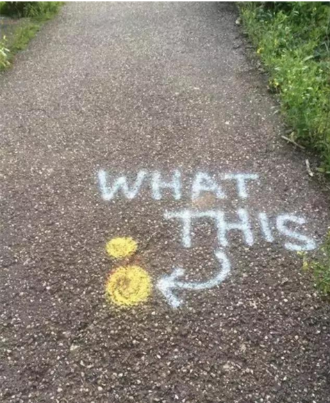 QQ截图20170419101817.png QQ截图20170419101817.png