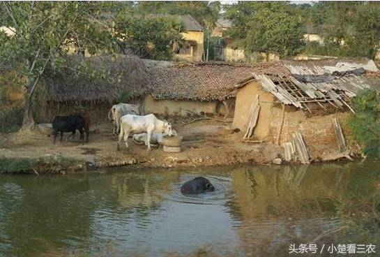 QQ截图20170421090829.png QQ截图20170421090829.png