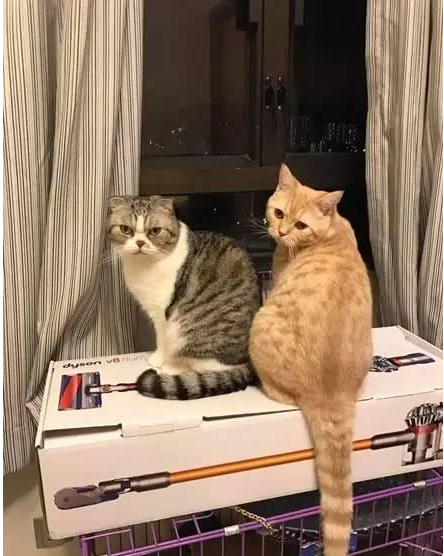 QQ截图20170425090735.png QQ截图20170425090735.png