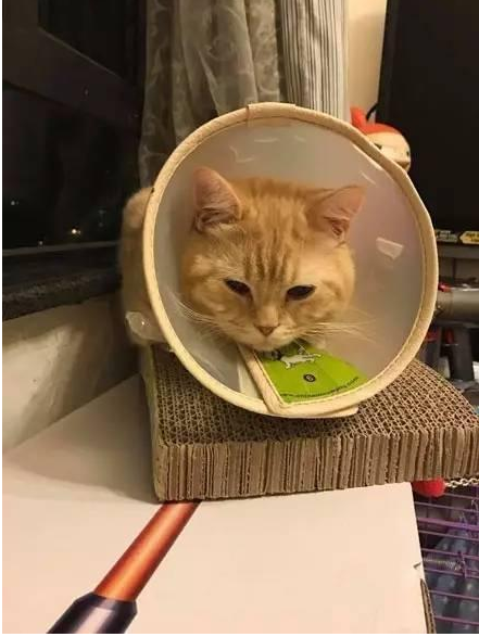 QQ截图20170425090812.png QQ截图20170425090812.png