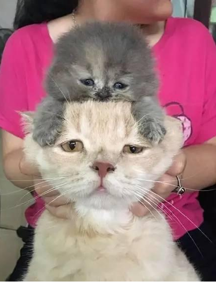 QQ截图20170425090846.png QQ截图20170425090846.png