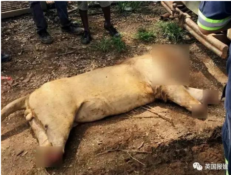 QQ截图20170425153237.png QQ截图20170425153237.png