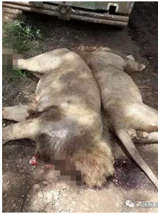 QQ截图20170425153244.png QQ截图20170425153244.png