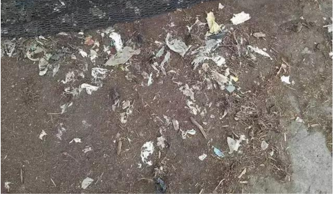 QQ截图20170426143514.png QQ截图20170426143514.png