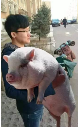 QQ截图20170427081900.png QQ截图20170427081900.png