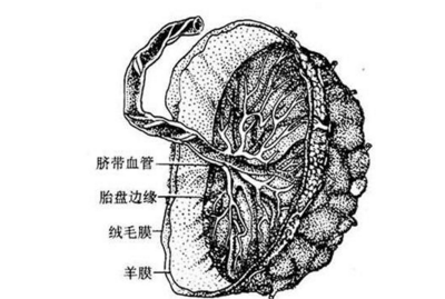QQ截图20170427165505.png QQ截图20170427165505.png