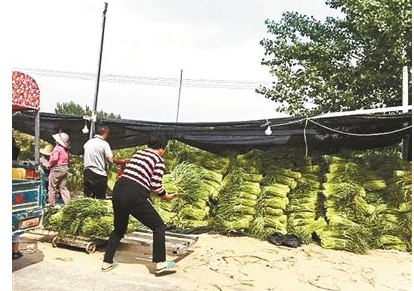 QQ截图20170503082344.png QQ截图20170503082344.png