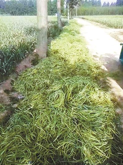 QQ截图20170503082351.png QQ截图20170503082351.png