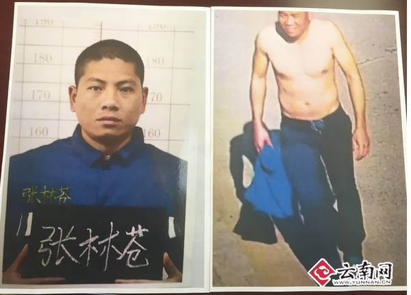 QQ截图20170503112542.png QQ截图20170503112542.png