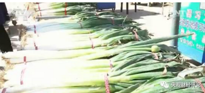 QQ截图20170504091651.png QQ截图20170504091651.png