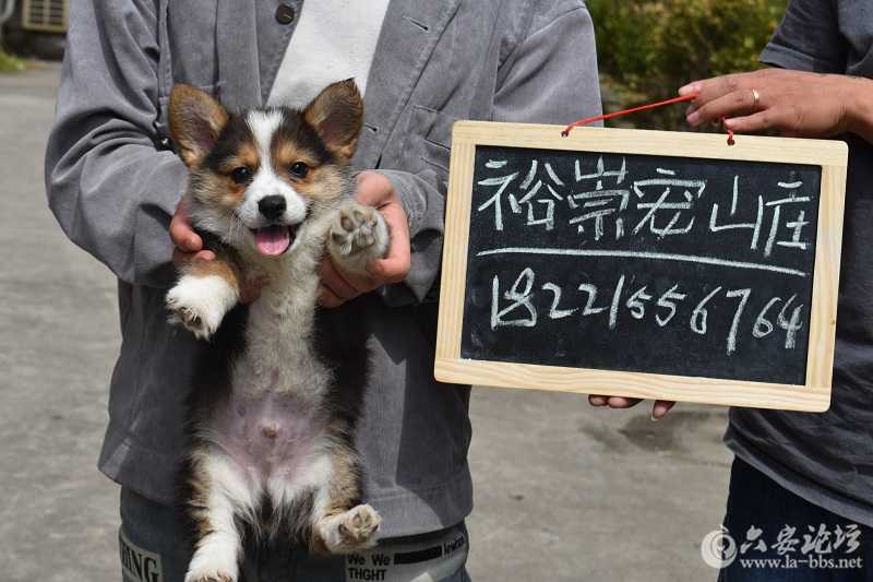 DSC_0140 - 副本.JPG