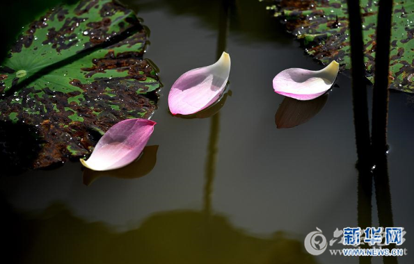 微信图片_20170923104144 - 副本.png