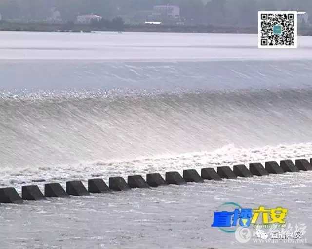 222.webp.jpg 222.webp.jpg