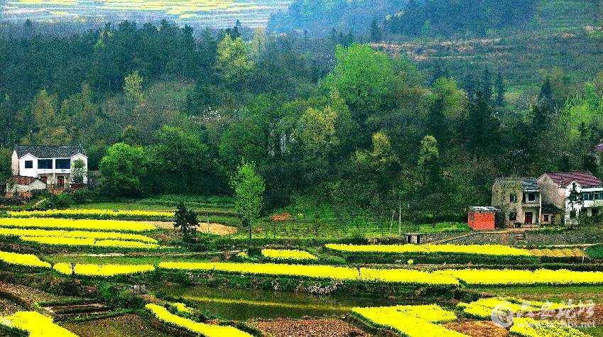 微信图片_20171123095406.jpg 微信图片_20171123095406.jpg