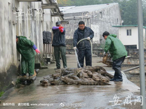 68690a6cgy1flwev0y9acj20go0cimyq (1).jpg