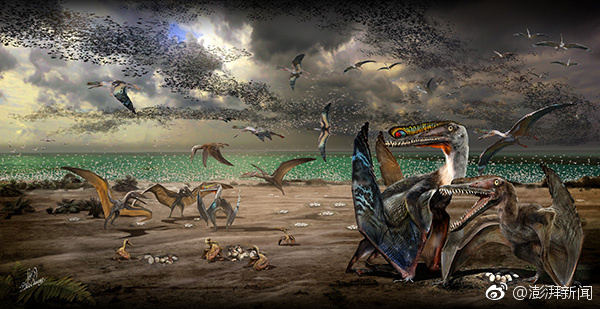 005vnhZYgy1fm13bkyc5gj30go08l13z (1).jpg