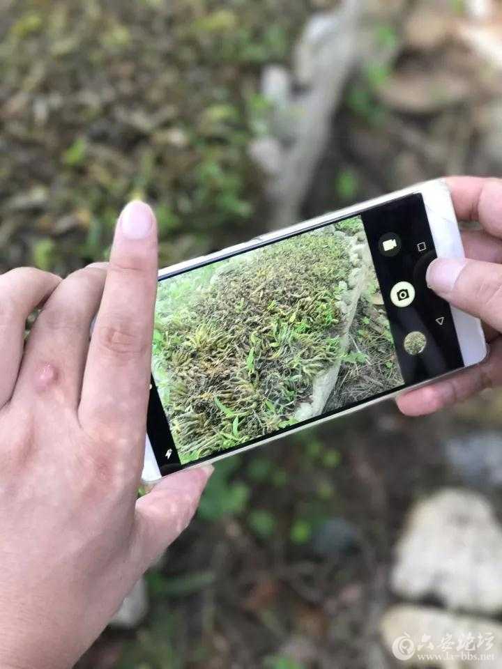 微信图片_20171209102513.jpg 微信图片_20171209102513.jpg