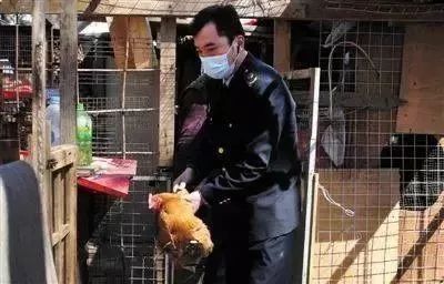 微信图片_20171219092812.jpg