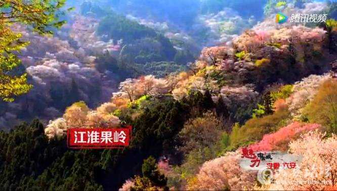 微信图片_20171224093250.jpg
