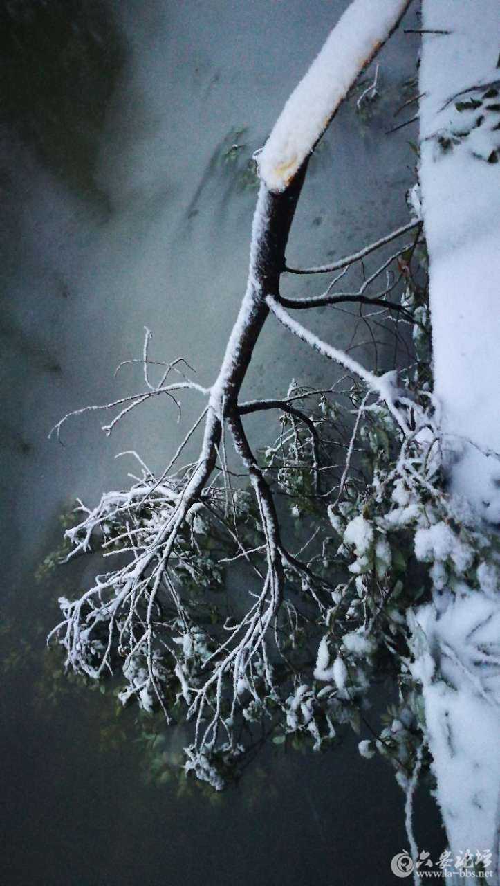 20180104_157518_1515021076457.jpg