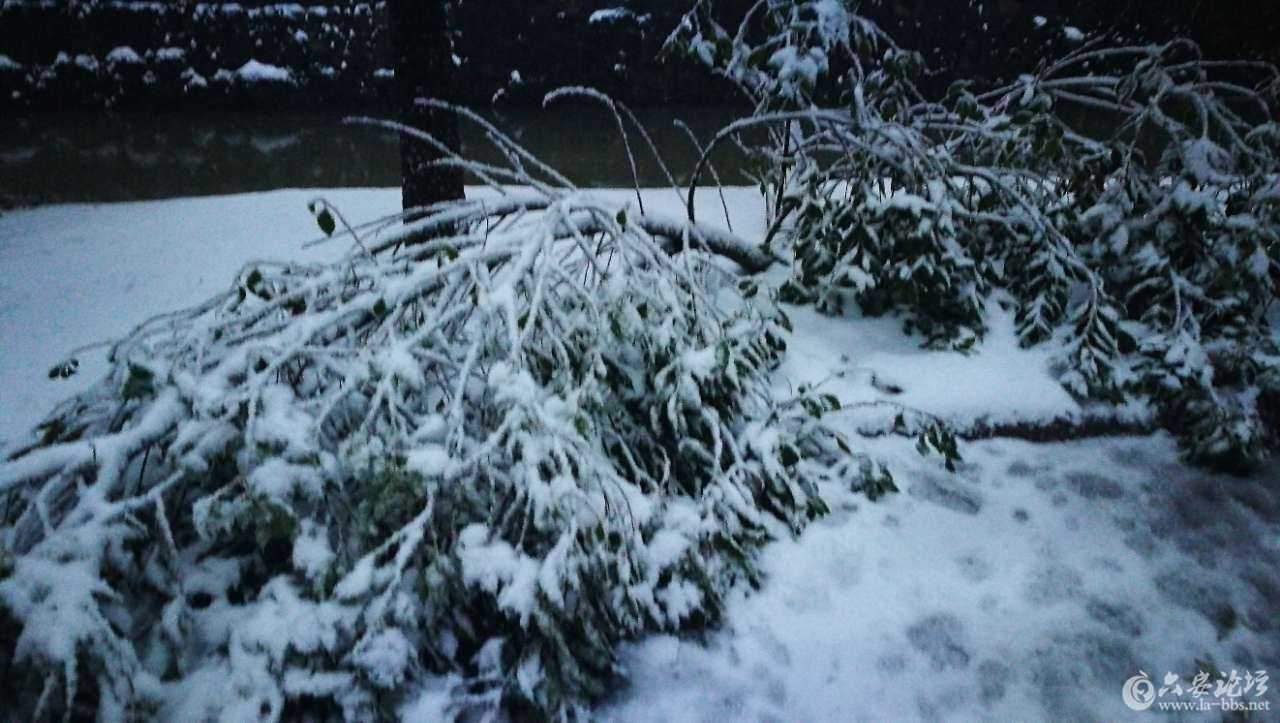 20180104_157518_1515021076959.jpg