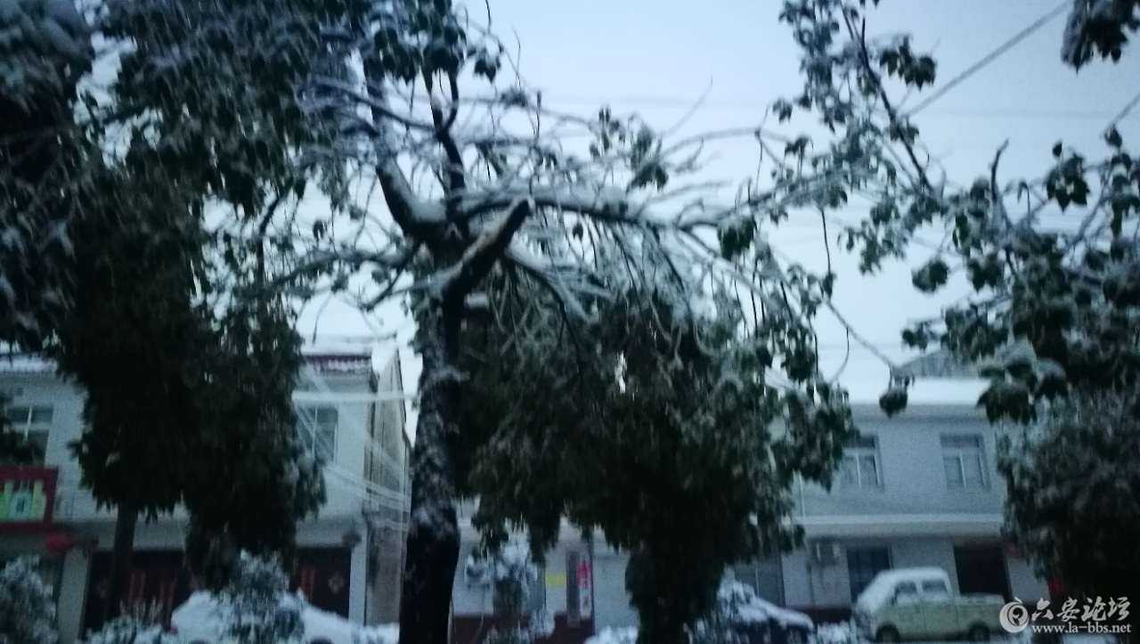 20180104_157518_1515021159955.jpg