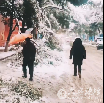 QQ截图20180104093718.png