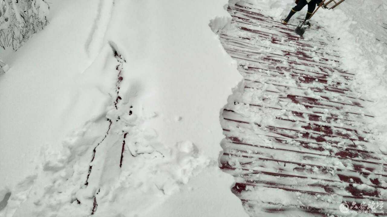20180105_258205_1515092308542.jpg