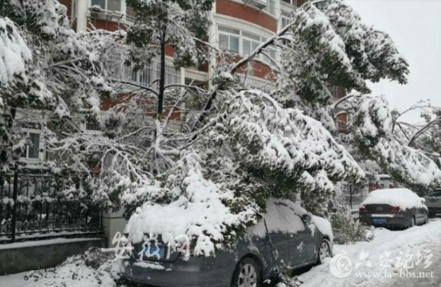 QQ截图20180105101059.png