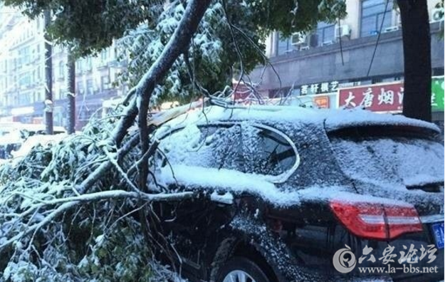 QQ截图20180105101109.png