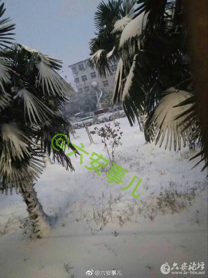 ec5d1c29ly1fn60qx7edrj20qo0zk7m7.jpg