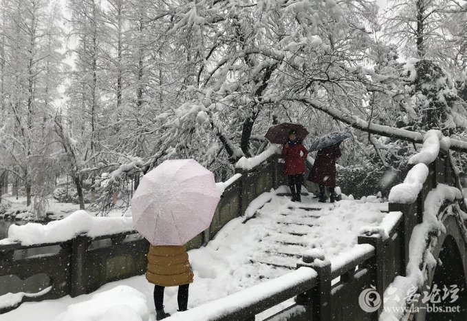 QQ截图20180108082856.png