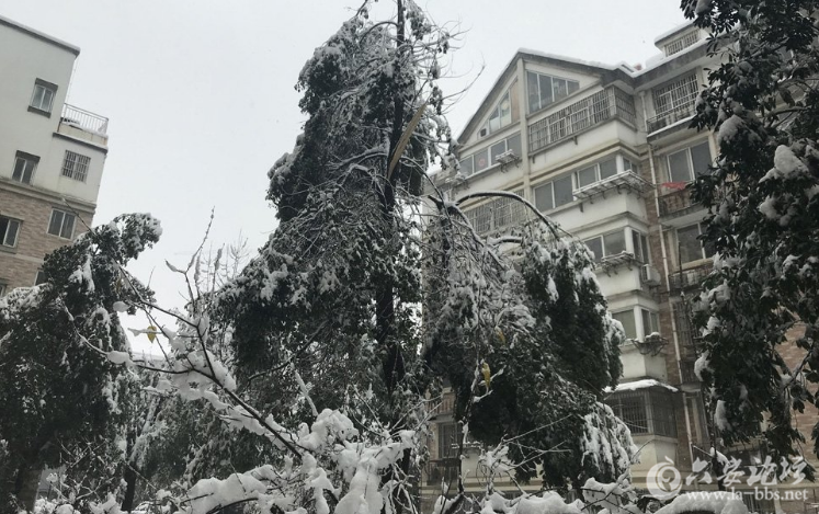 QQ截图20180108082920.png