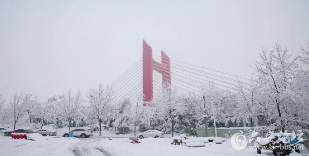 QQ截图20180108093859.png