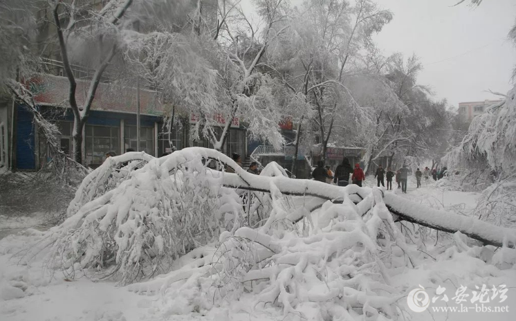 QQ截图20180109085821.png