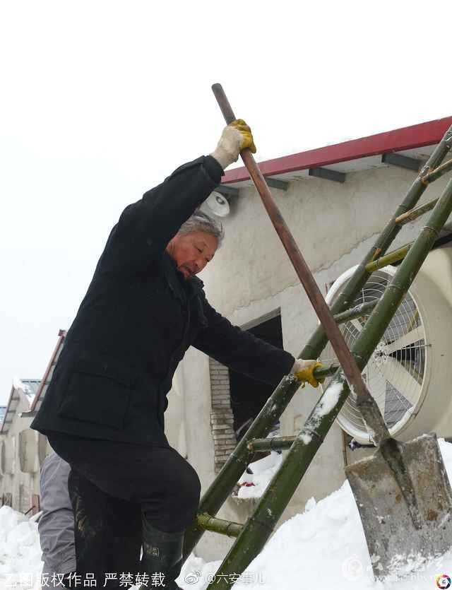 ec5d1c29ly1fn9h5w26zej20hs0n7gni.jpg