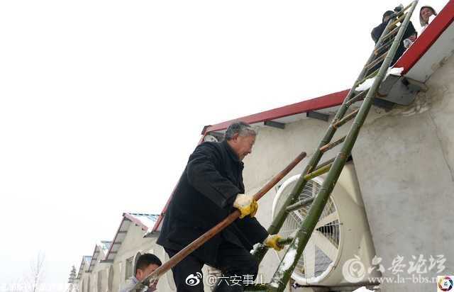 ec5d1c29ly1fn9h5wd56wj20hs0bgjsb.jpg