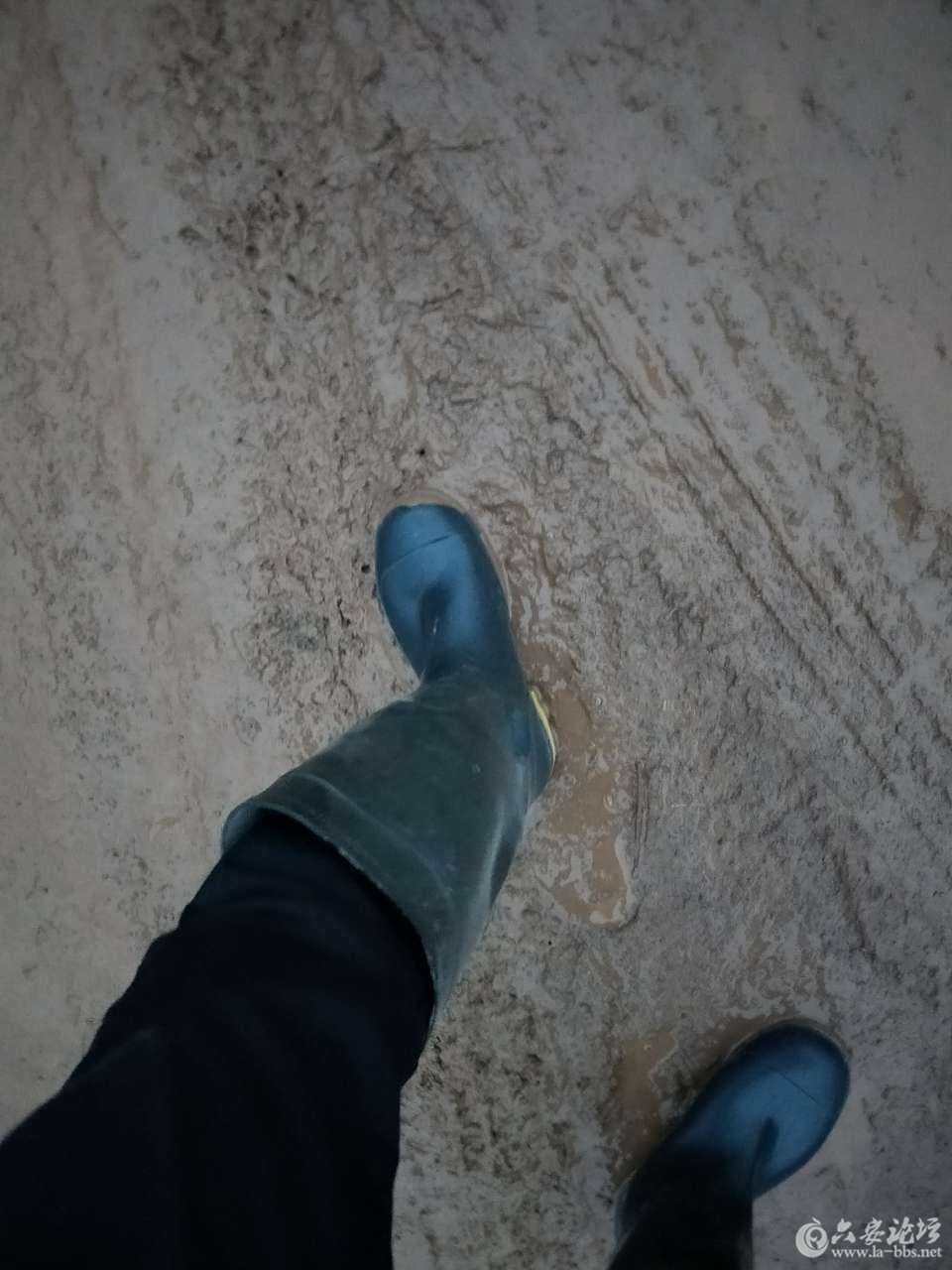 20180113_264758_1515836578308.jpg